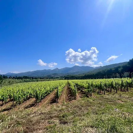 Casetta Di Davide - Elba Affitti شقة *