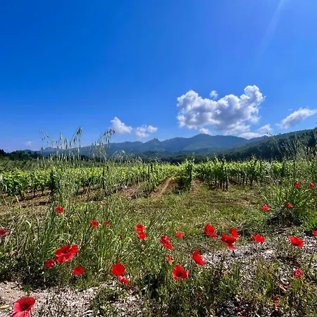 Casetta Di Davide - Elba Affitti Daire *
