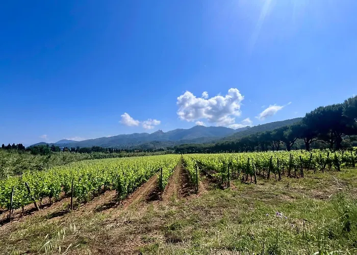 Casetta Di Davide - Elba Affitti Апартаменты *