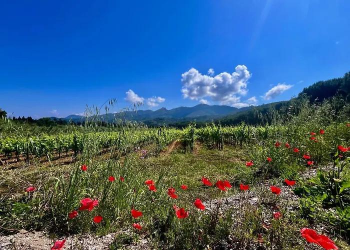 Апартаменты Casetta Di Davide - Elba Affitti *